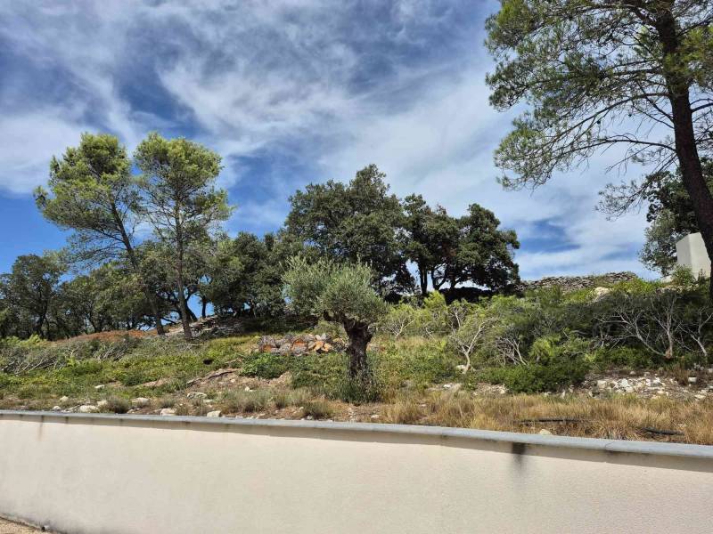 Réalisation  d'un terrain de pétanque